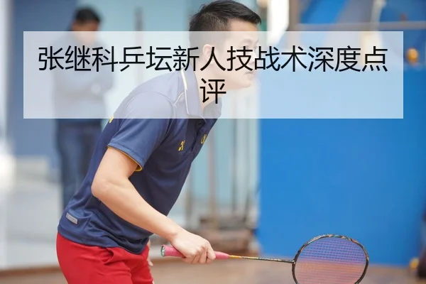 张继科乒坛新人技战术深度点评