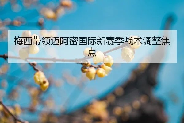 mei-xi-dai-ling-mai-a-mi-guo-ji-xin-sai-ji-zhan-shu-tiao-zheng-jiao-dian-2-398.jpg