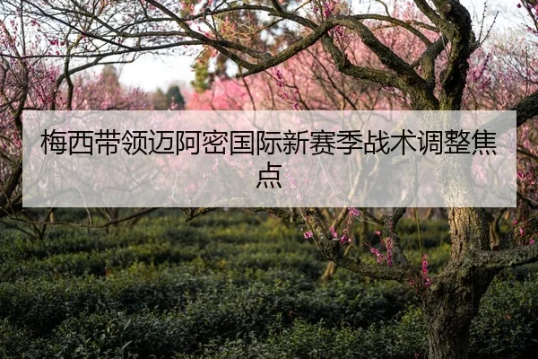 梅西带领迈阿密国际新赛季战术调整焦点